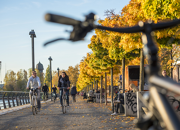 Ab aufs Rad: Der Herbst lockt mit bunten Farben nach draußen.